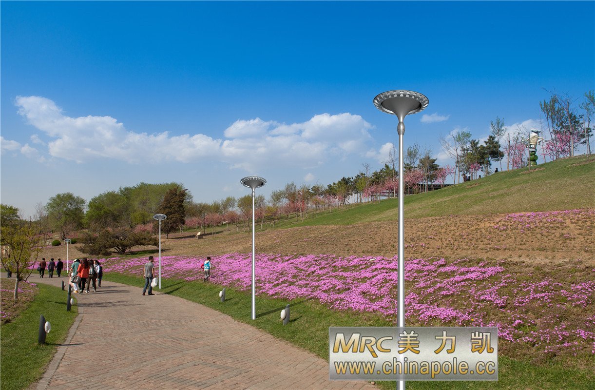 Aluminum Lighting Pole M-TZ01