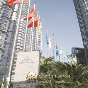 flagpole-ntf10